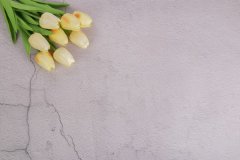 湘潭做網(wǎng)站的基本費用