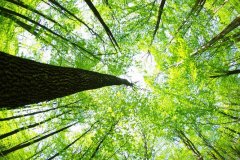 湘潭網站制作建設費用包含哪些