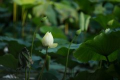 湘潭網(wǎng)站專業(yè)建設(shè)一定要注意的問題