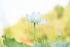 岳麓區網站建設要做什么？