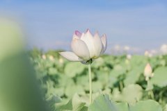 岳麓區網站制作公司有什么辦法可以篩選出專業