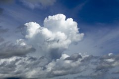 岳麓區企業網站開發誤區