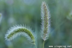 岳麓區(qū)的網(wǎng)站建設3個步驟