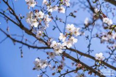 株洲網(wǎng)絡(luò)建站如何搭建？