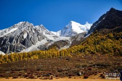 株洲網(wǎng)站開發(fā)公司要多長時(shí)間