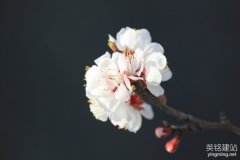 望城網站設計