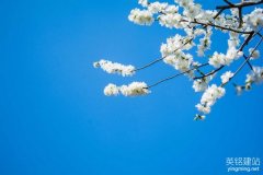 制作公司主頁