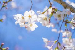 如何建立企業(yè)網(wǎng)站