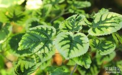 長沙網頁設計要怎么做?（長沙網頁設計7個流程）
