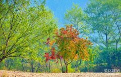 長(zhǎng)沙建網(wǎng)站公司哪家好？（選擇長(zhǎng)沙建網(wǎng)站公司的4個(gè)關(guān)鍵）