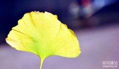 長(zhǎng)沙網(wǎng)站制作套餐多少錢(qián)？（長(zhǎng)沙網(wǎng)站制作套餐的4個(gè)組成部分）