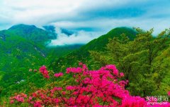 湖南企業(yè)網(wǎng)站建設(shè)有哪些要注意？（湖南企業(yè)網(wǎng)站建設(shè)的6個(gè)要點(diǎn)）